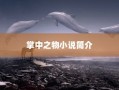 掌中之物小说简介